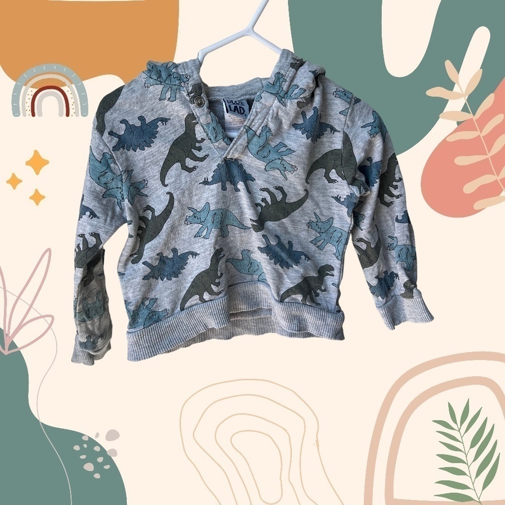 Little  Lad 12-18 month hoodie